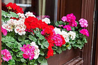 高速2D横版动作《LOST EPIC》发售 人神华丽大战